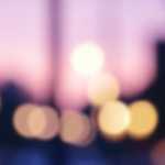 どういった物語なのかが理解できないままに…。